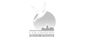 référence logo ville de colomiers communication digitale